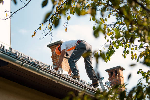 Gutter Installation and Roofing in Yosemite Valley, CA